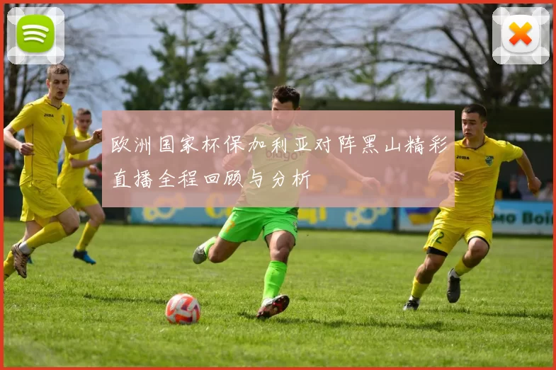 欧洲国家杯保加利亚对阵黑山精彩直播全程回顾与分析