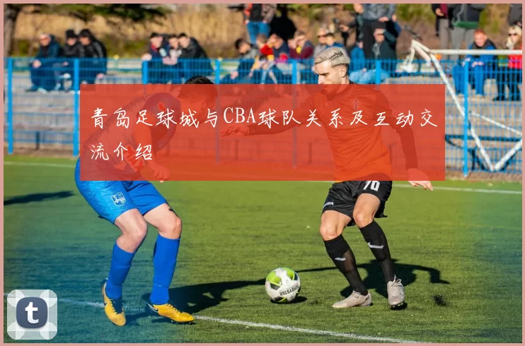 青岛足球城与CBA球队关系及互动交流介绍