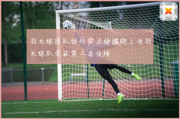 羽毛球团队协作实力榜揭晓上海羽毛球队荣获第二名佳绩