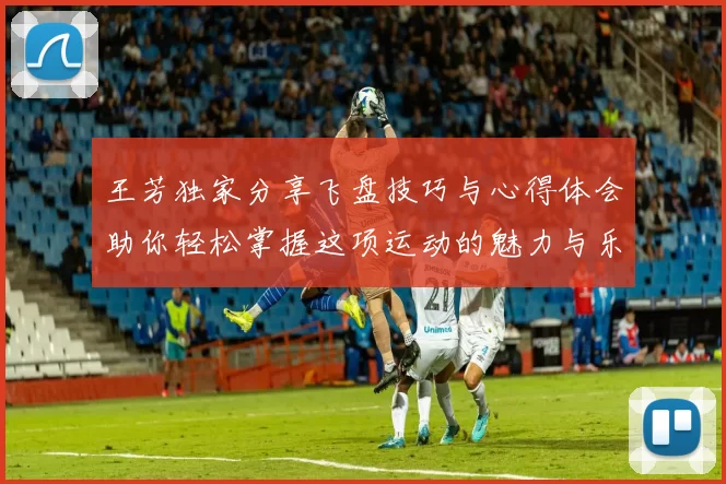 王芳独家分享飞盘技巧与心得体会助你轻松掌握这项运动的魅力与乐趣