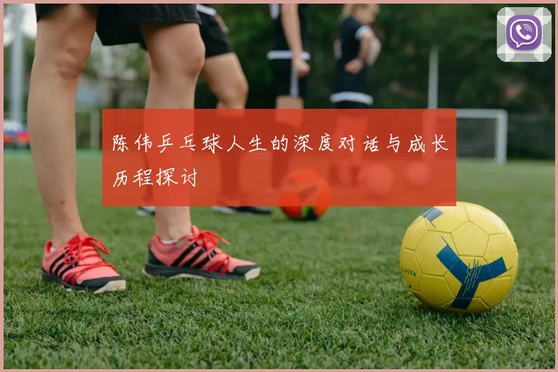 陈伟乒乓球人生的深度对话与成长历程探讨