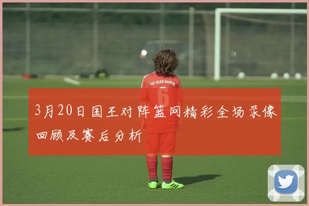 3月20日国王对阵篮网精彩全场录像回顾及赛后分析