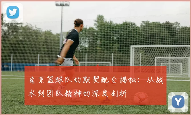 南京篮球队的默契配合揭秘：从战术到团队精神的深度剖析