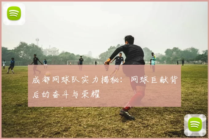 成都网球队实力揭秘：网球巨献背后的奋斗与荣耀