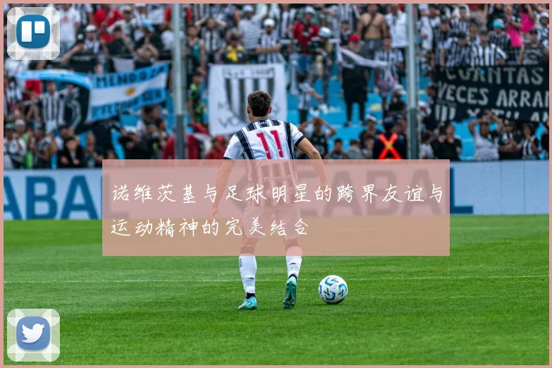 诺维茨基与足球明星的跨界友谊与运动精神的完美结合