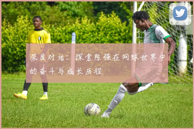 深度对话：探索陈强在网球世界中的奋斗与成长历程
