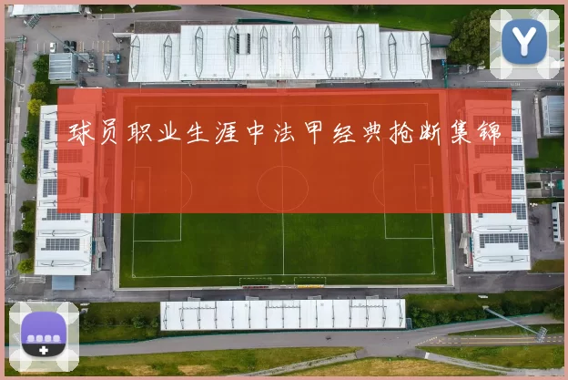 球员职业生涯中法甲经典抢断集锦