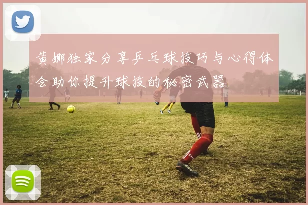 黄娜独家分享乒乓球技巧与心得体会助你提升球技的秘密武器