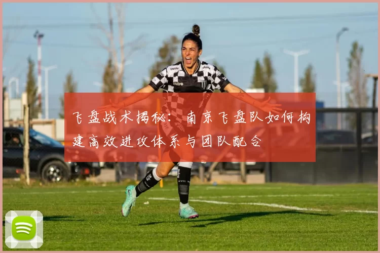 飞盘战术揭秘：南京飞盘队如何构建高效进攻体系与团队配合