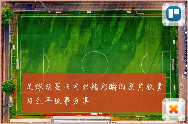 足球明星卡内尔精彩瞬间图片欣赏与生平故事分享