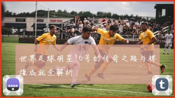 世界足球明星16号的传奇之路与辉煌成就全解析