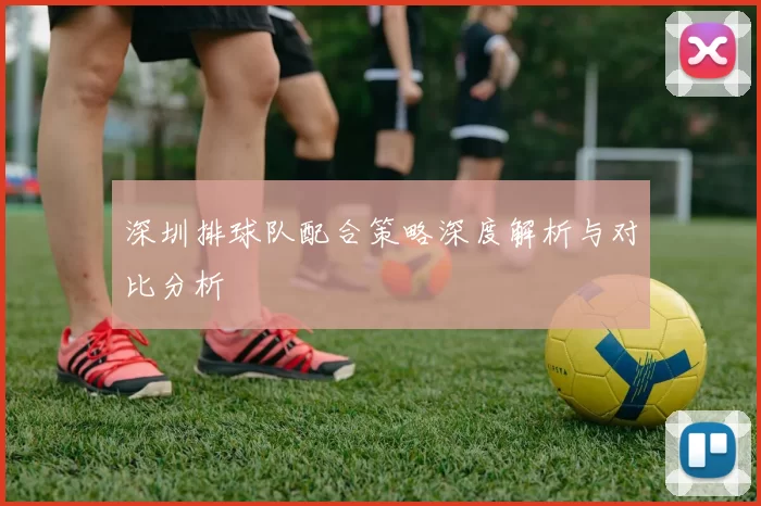 深圳排球队配合策略深度解析与对比分析