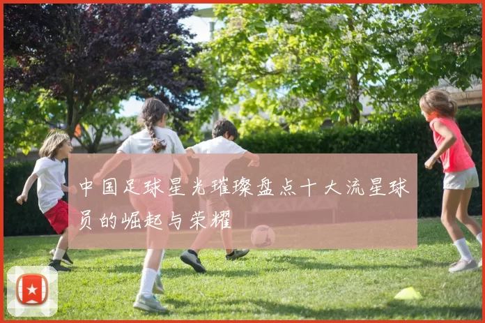中国足球星光璀璨盘点十大流星球员的崛起与荣耀