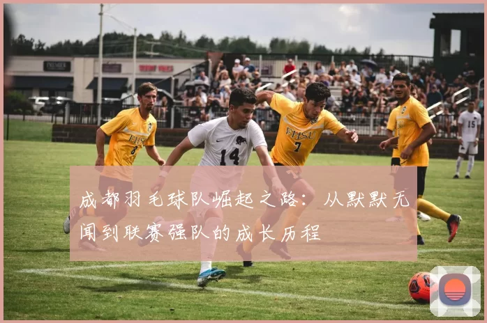 成都羽毛球队崛起之路：从默默无闻到联赛强队的成长历程