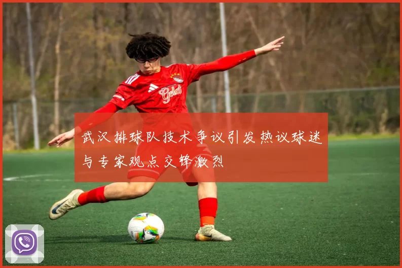 武汉排球队技术争议引发热议球迷与专家观点交锋激烈